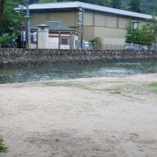 横を流れる川には魚がいました