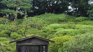 六義園を見晴らせるポイント