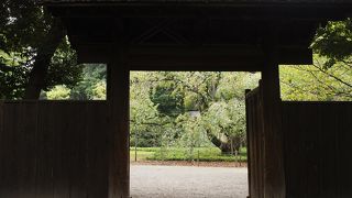 それほど大きな門ではない