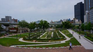 バラが終わっていて残念