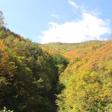 歩きはダメだったので、バスから一瞬を狙って