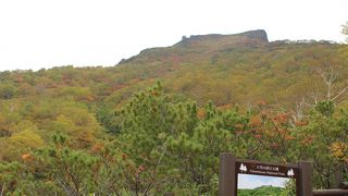 やはり行くなら午前中かと思います。