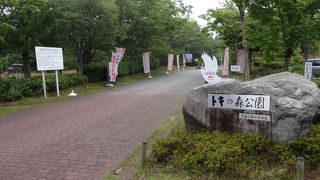 トキとふれあえる