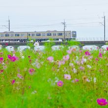 電車は少ないので、じっくり待ちます