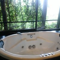 窓に面していて贅沢な気分で入浴できた。