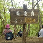 鳴虫山にシロヤシオツツジを見に行きました