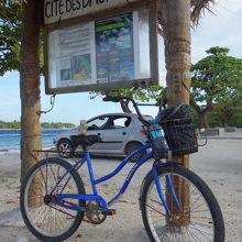 ドルフィンサイトの看板！