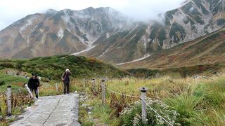 遊歩道はアップダウンが厳しいところもあり、歩きにくい。