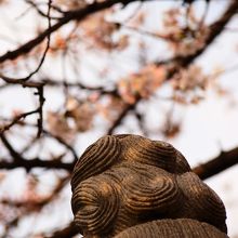 道路から見えたご仏像