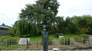 春にはその姿が一変します！