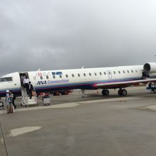 搭乗したIBEX運行のジェット機です　