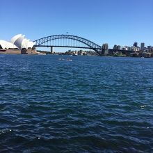 ハーバーブリッジ