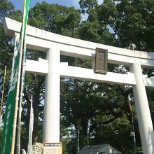 鳥居は無事です。ほかの被害を考えるとありがたいです。