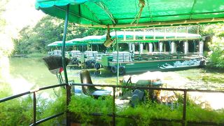 亜熱帯の楽園を楽しむ