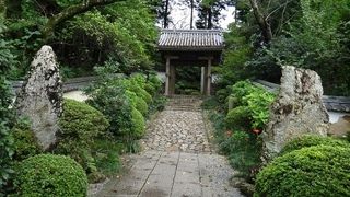 このためだけに浜松に来てもよかったと思える