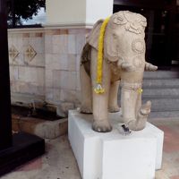 玄関　階段なので　右側にすごい坂あるけど　車いすは怖いですよ