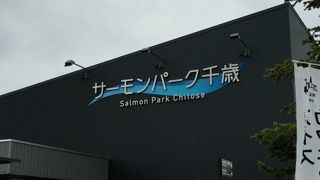 綺麗で楽しめる