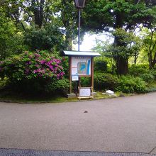 入口を入ると、案内板があります。玉砂利で趣のある入口です。
