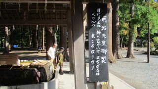 観光バスのルート。大きかったです。