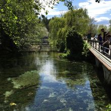 素晴らしい透明度