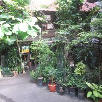 スック 11 ホステル