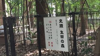 小さいけれど厳かな雰囲気