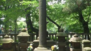 説明書きにツッコミどころもあり