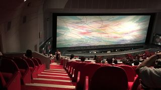 初めてみました。