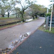 海老川沿いの歩道