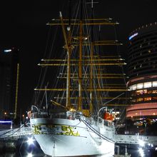 水面に映った姿もきれいです．