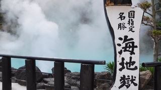 水色の地獄は湯気モクモクでした。足湯もあります。温室には大鬼蓮屋南洋の花が咲いています。