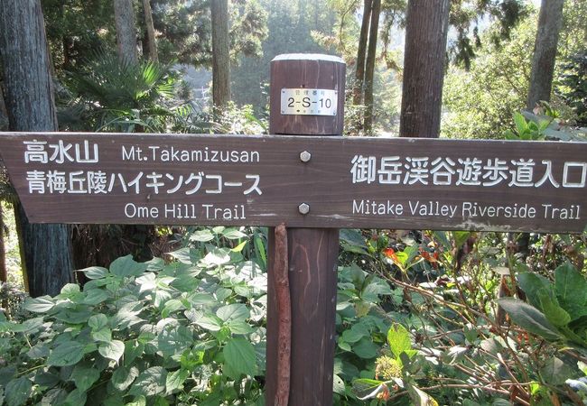 東京にも「本当の空」あり
