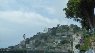 やっぱりベテランドライバーによる移動は安心安全