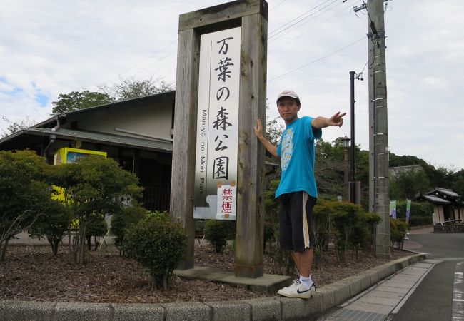 和風の公園