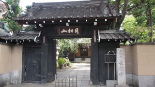 見どころが多いです