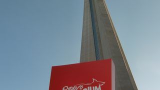 夕暮れ時がおすすめ