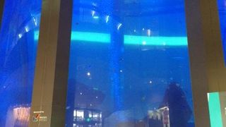 ちょっとした癒しに