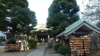 招き猫がたくさん