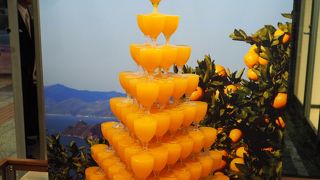 コンパクトで清潔感のある空港