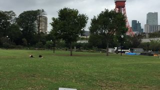 緑いっぱい！増上寺や古墳など東京とは思えない自然公園！