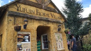 ごちゃごちゃしてました