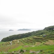 海と棚田の風景