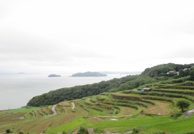 土谷棚田 クチコミ アクセス 営業時間 松浦 フォートラベル 土谷棚田 クチコミ アクセス 営業時間 松浦 フォートラベル