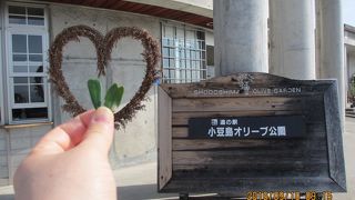 日本じゃないみたい