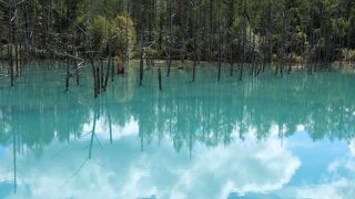 晴れていて無風なら最高