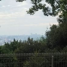 遠くに熊本城が見えます