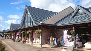 いろいろあって楽しめます