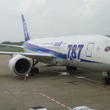 定番のANAの787。初期のペイントタイプ