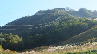 日中もなかなか