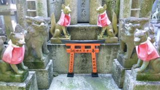 稲荷山頂上にもキツネさんがいます！